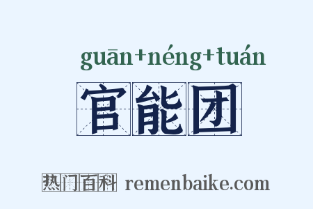 官能团是什么意思的图片
